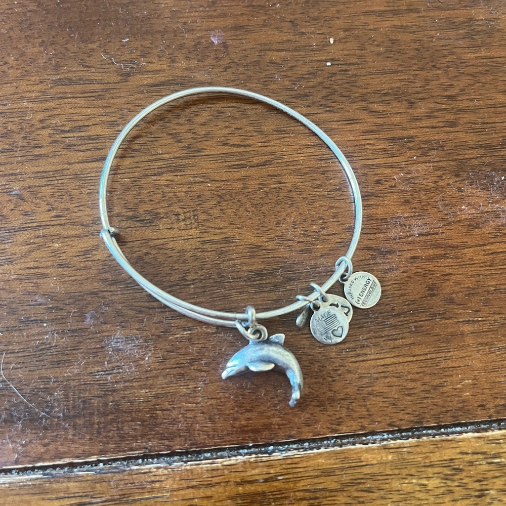 Alex and ani dolphin bracelet